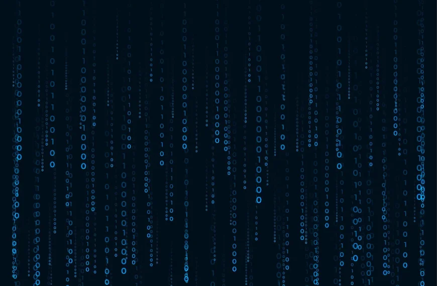 Black Hat e White Hat: Qual a diferença entre eles?