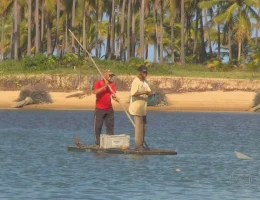 A Importância dos Rios para a Pesca e o Ecossistema Aquático: Preservação e Sustentabilidade