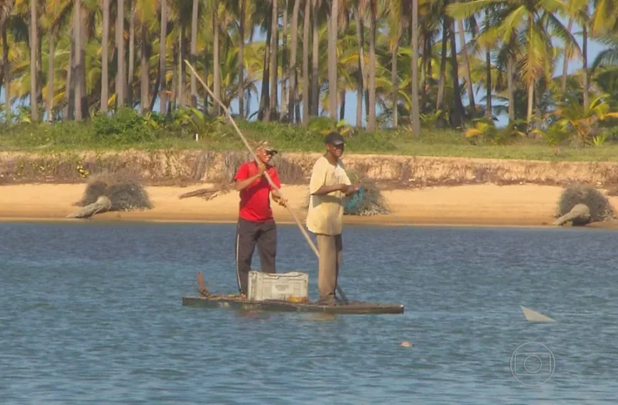 A Importância dos Rios para a Pesca e o Ecossistema Aquático: Preservação e Sustentabilidade