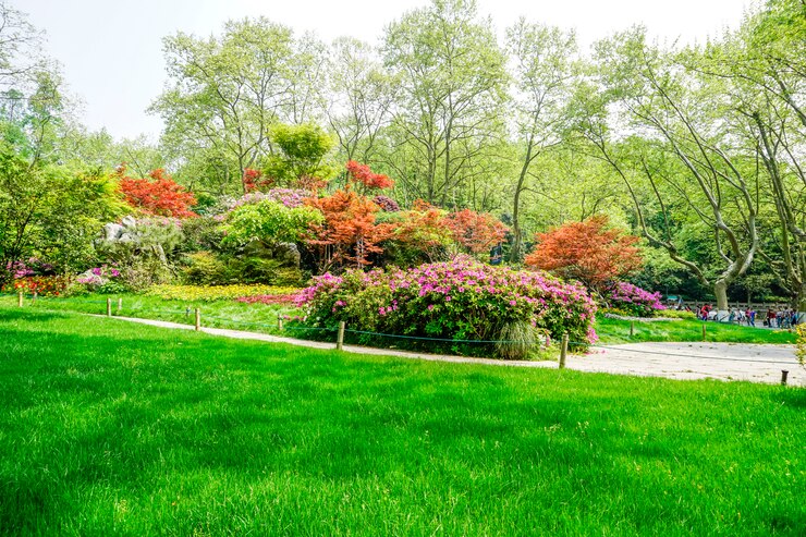 Segredos do Jardim Perfeito: A Importância do Produto Certo, conheça o Grama Verde
