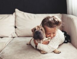 Casas que crescem ao ritmo da infância